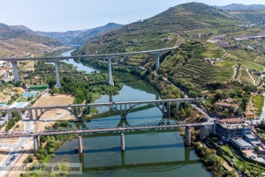 Visite de la vallée de Porto Douro | La richesse du vin | TOUT COMPRIS.