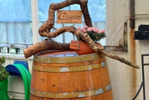 Transfer von Porto nach Lissabon mit Zwischenstopps in Coimbra und Fátima