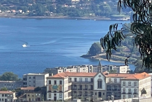 Transfer Porto - Flygplats/Hotell