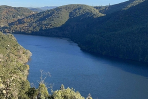 Transfer Porto - Flygplats/Hotell