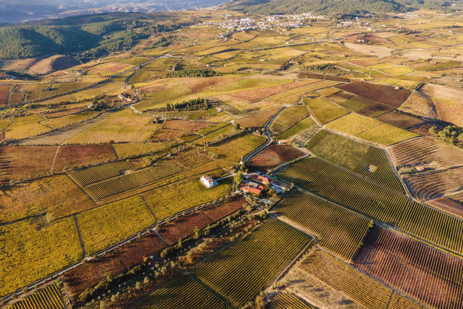 Two days to visit Fall Foliage in Douro Valley