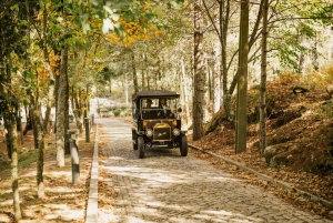 Two days to visit Fall Foliage in Douro Valley