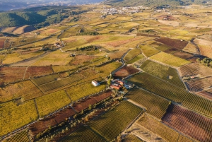 Two days to visit Fall Foliage in Douro Valley