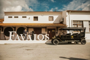 Two days to visit Fall Foliage in Douro Valley