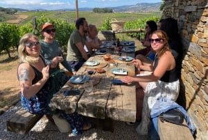 Zachód słońca w Dolinie Douro: wizyta w winnicy i 1-godzinny rejs wycieczkowy