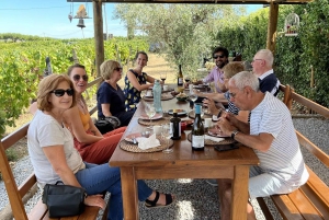 Zachód słońca w Dolinie Douro: wizyta w winnicy i 1-godzinny rejs wycieczkowy