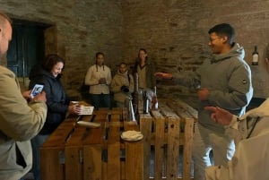 Zachód słońca w Dolinie Douro: wizyta w winnicy i 1-godzinny rejs wycieczkowy