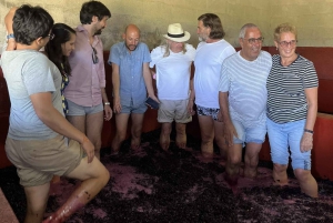 Zachód słońca w Dolinie Douro: wizyta w winnicy i 1-godzinny rejs wycieczkowy