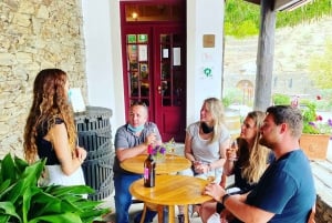 Zachód słońca w Dolinie Douro: wizyta w winnicy i 1-godzinny rejs wycieczkowy