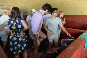 Zachód słońca w Dolinie Douro: wizyta w winnicy i 1-godzinny rejs wycieczkowy