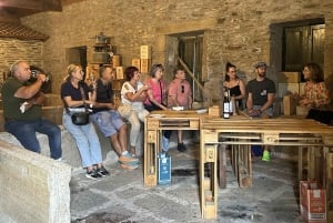 Zachód słońca w Dolinie Douro: wizyta w winnicy i 1-godzinny rejs wycieczkowy