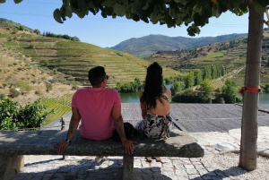 Zachód słońca w Dolinie Douro: wizyta w winnicy i 1-godzinny rejs wycieczkowy