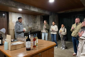 Zachód słońca w Dolinie Douro: wizyta w winnicy i 1-godzinny rejs wycieczkowy