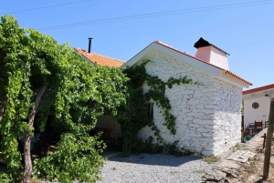 Zachód słońca w Dolinie Douro: wizyta w winnicy i 1-godzinny rejs wycieczkowy