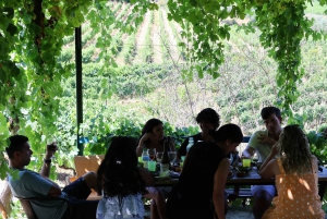 Zachód słońca w Dolinie Douro: wizyta w winnicy i 1-godzinny rejs wycieczkowy