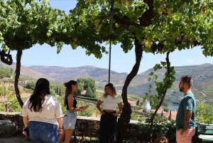 Zachód słońca w Dolinie Douro: wizyta w winnicy i 1-godzinny rejs wycieczkowy