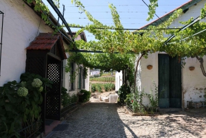 Zachód słońca w Dolinie Douro: wizyta w winnicy i 1-godzinny rejs wycieczkowy