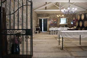 Zachód słońca w Dolinie Douro: wizyta w winnicy i 1-godzinny rejs wycieczkowy