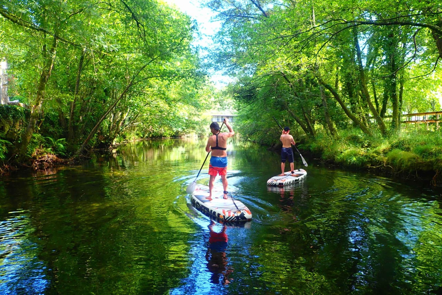 Viana do Castelo: Vez River SUP with Transfer Options