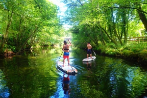 Viana do Castelo: Vez-joen SUP ja siirtovaihtoehdot