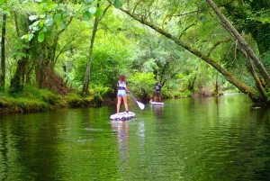 Viana do Castelo: Vez-joen SUP ja siirtovaihtoehdot