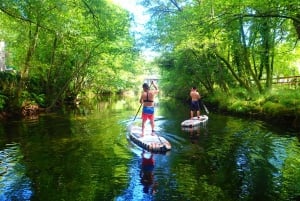 Viana do Castelo: Vez River SUP with Transfer Options