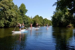 Viana do Castelo: Vez River SUP with Transfer Options