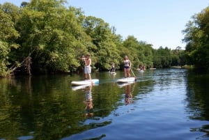 Viana do Castelo: Vez River SUP with Transfer Options