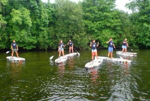 Viana do Castelo: Vez River SUP with Transfer Options