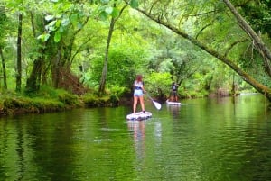 Viana do Castelo: Vez River SUP with Transfer Options