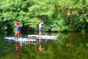 Viana do Castelo: Vez River SUP with Transfer Options