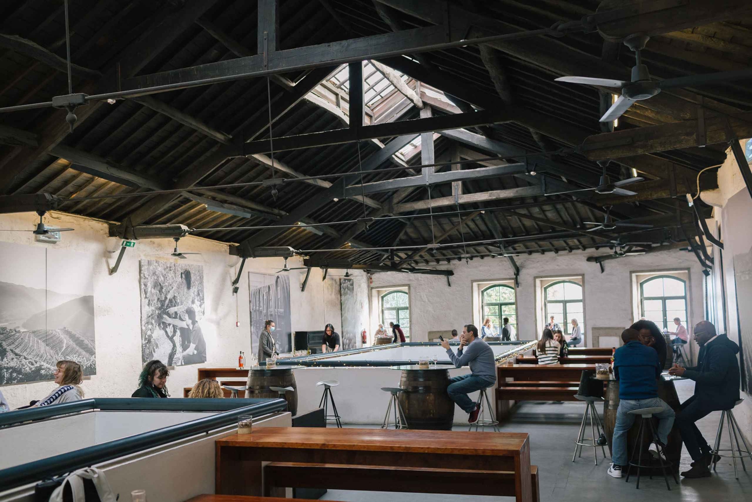 Vila Nova de Gaia: Douro Discovery