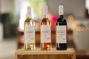 Vila Nova de Gaia: Douro Discovery