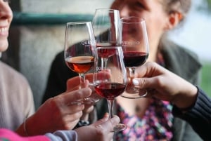 Vila Nova de Gaia: degustazione di vino Porto con abbinamento di formaggi