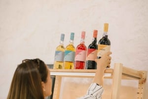 Vila Nova de Gaia: degustazione di vino Porto con abbinamento di formaggi