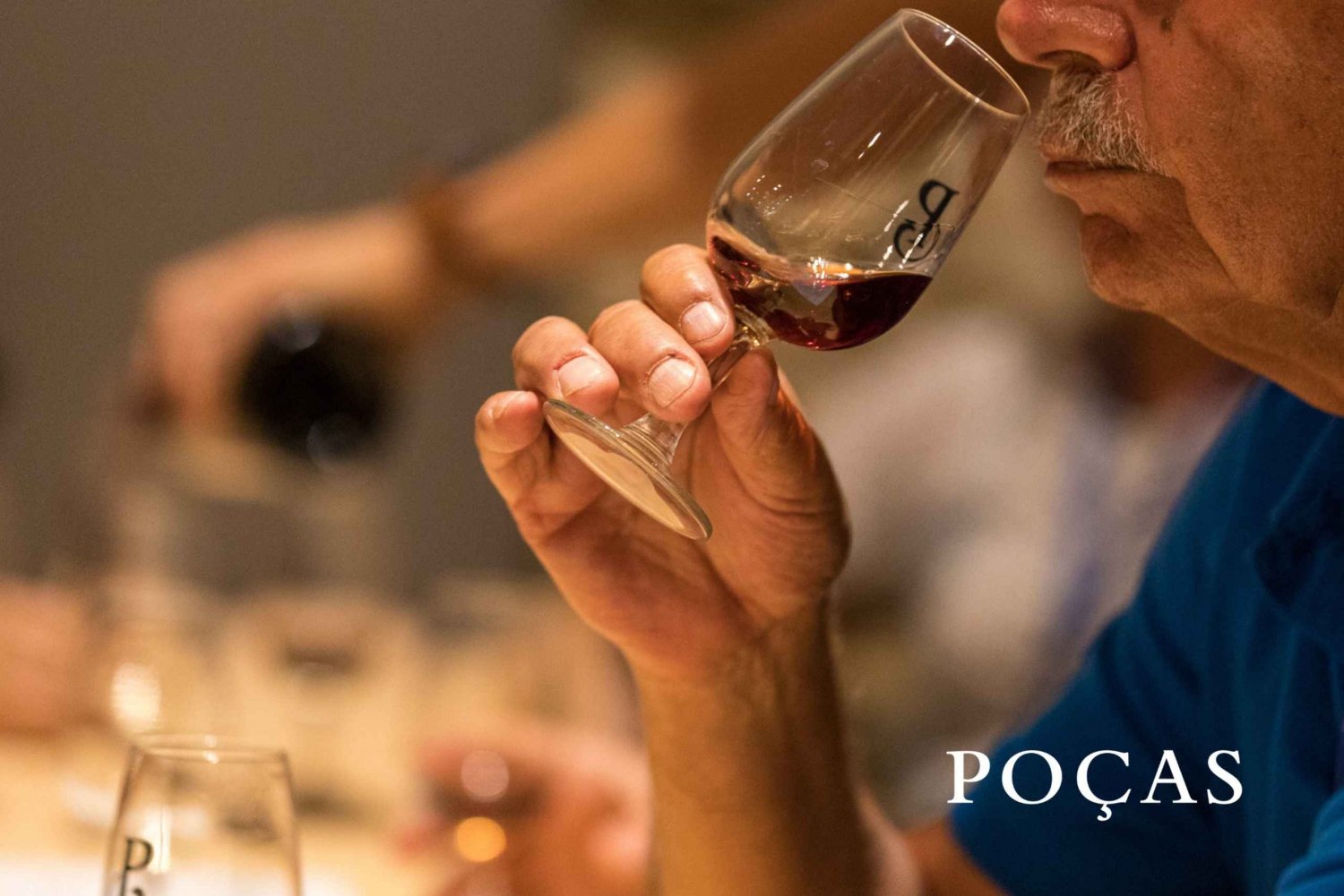 Vila Nova de Gaia: Winery Tour with 2 DOC Douro & 2 Ports