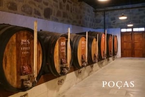 Vila Nova de Gaia: Wycieczka do winiarni z 2 winami DOC Douro i 2 porto