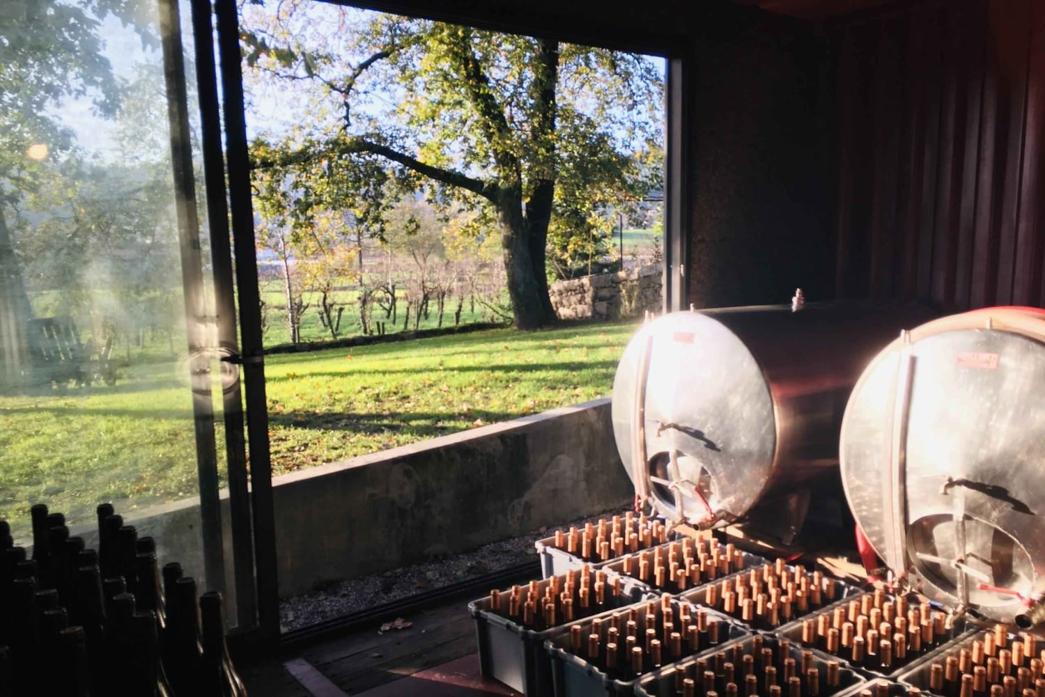 Vinho Verde 2 Wineries + Guimarães - from Porto