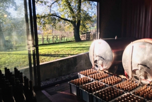 Vinho Verde 2 viinitilaa + Guimarães - Portosta käsin