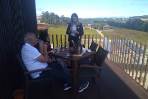 Vinho Verde 2 viinitilaa + Guimarães - Portosta käsin