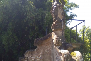 Vinho Verde 2 viinitilaa + Guimarães - Portosta käsin