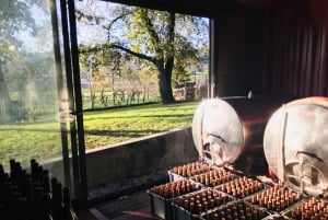 Vinho Verde 2 Wineries + Guimarães - from Porto