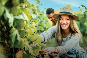 Vinho Verde: Visit 3 Wineries with wine tastings and Lunch