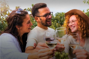 Vinho Verde: Visit 3 Wineries with wine tastings and Lunch