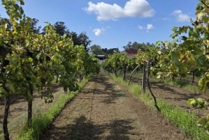 ヴィーニョ・ヴェルデ - ワインテイスティングと送迎付き