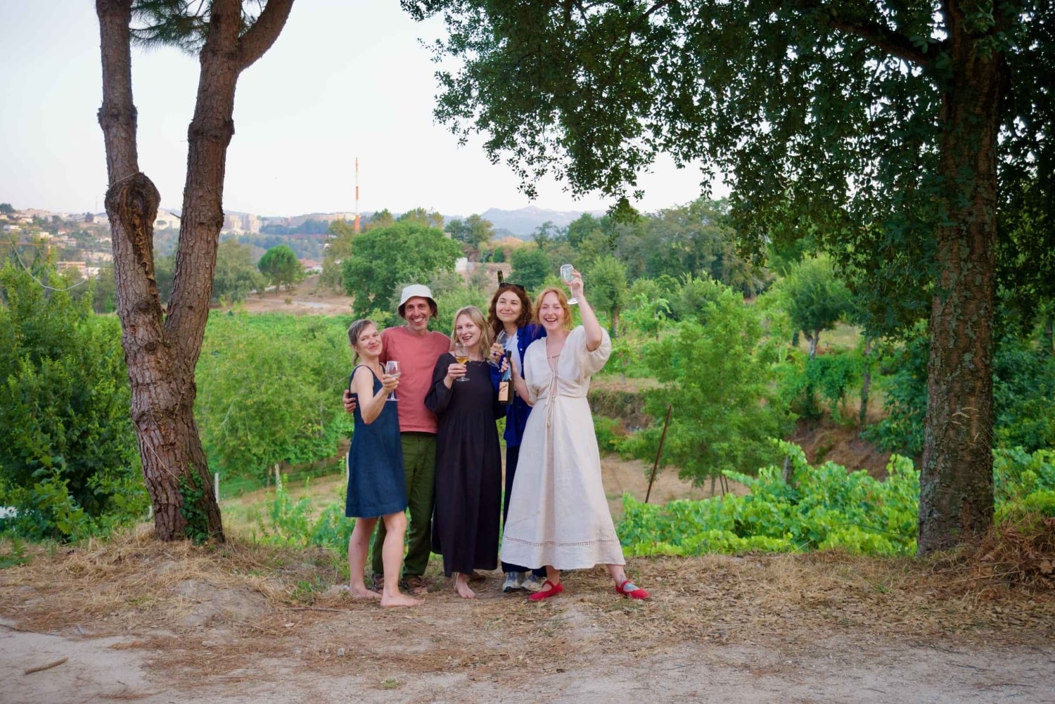 Wine & Food at a Organic Vineyard in Vinhos Verdes Region