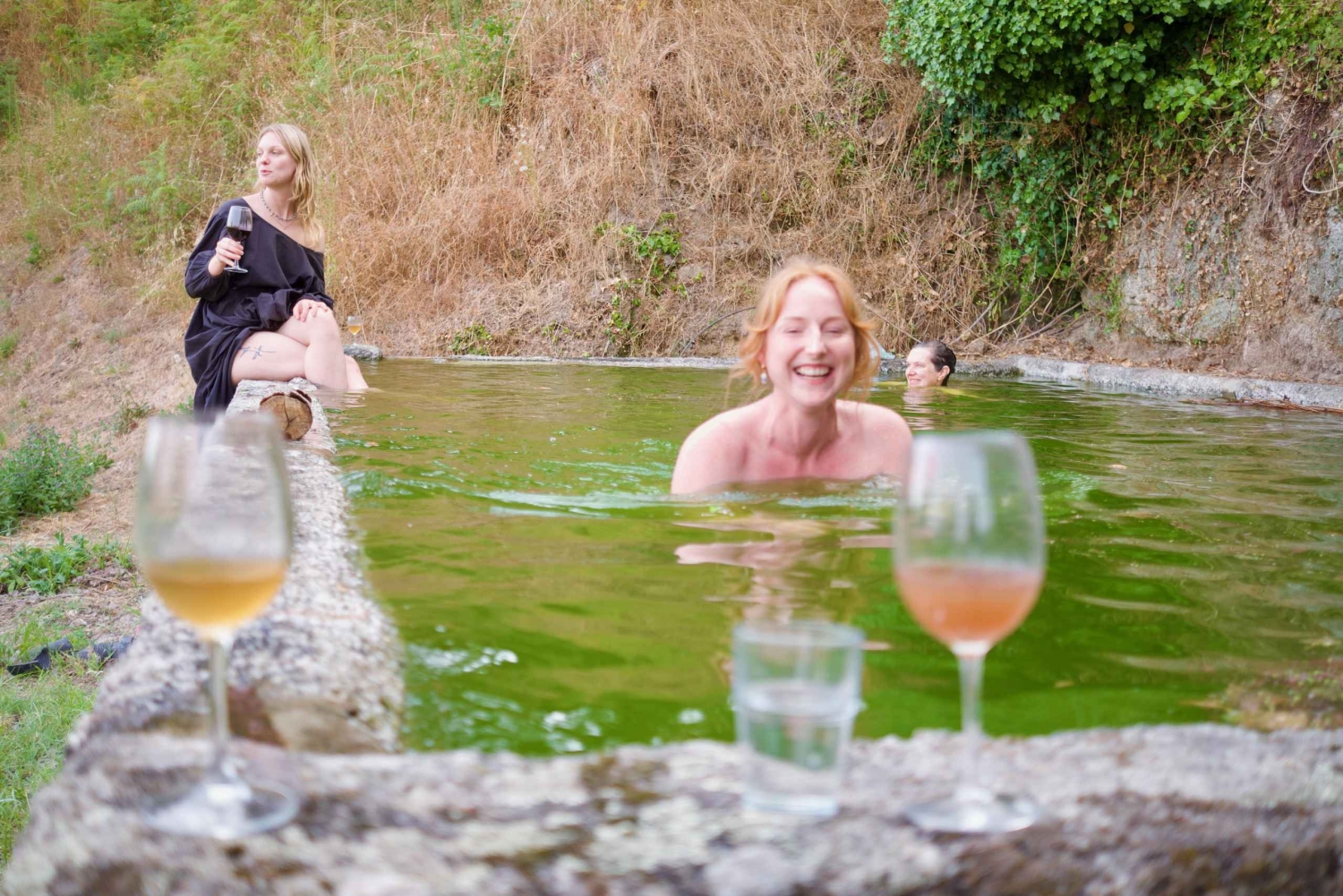 Wine & Food at a Organic Vineyard in Vinhos Verdes Region