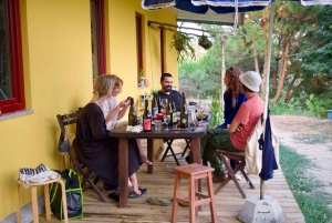 Wine & Food at a Organic Vineyard in Vinhos Verdes Region