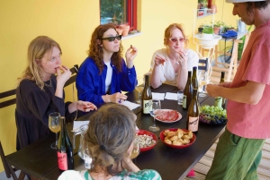 Wine & Food at a Organic Vineyard in Vinhos Verdes Region