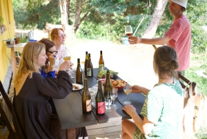 Wine & Food at a Organic Vineyard in Vinhos Verdes Region